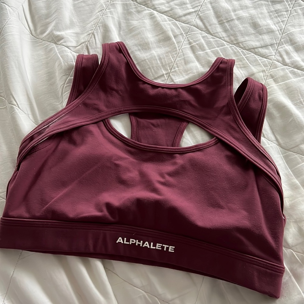 Alphalete Sports Bra